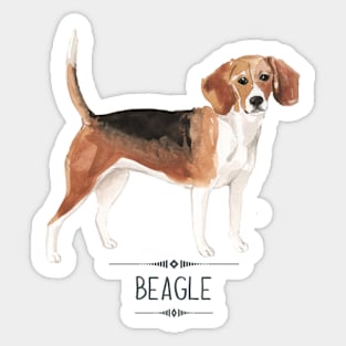 Beagle Sticker